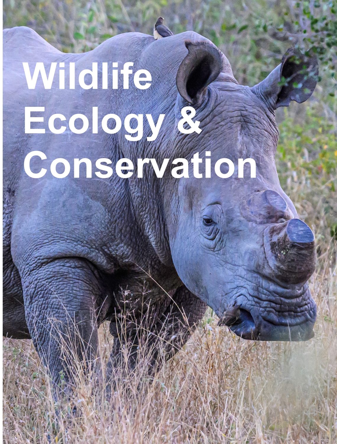 Cover image for Wildlife Ecology and Conservation